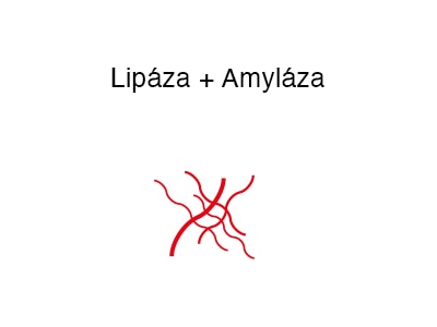 wobenzym_liptaza_amylaza
