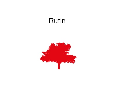 wobenzym_rutin