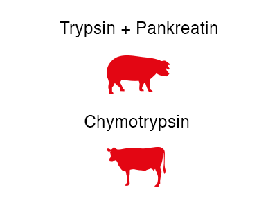 wobenzym_trypsin_pankreatin_chymotrypsin